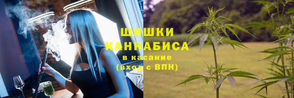 дурь Алзамай