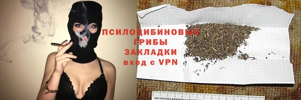 дмт Алексин