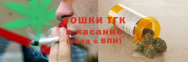 дмт Алексин