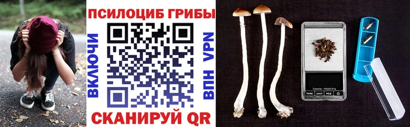 Галлюциногенные грибы Cubensis  OMG tor  Всеволожск  маркетплейс состав  купить наркотик 